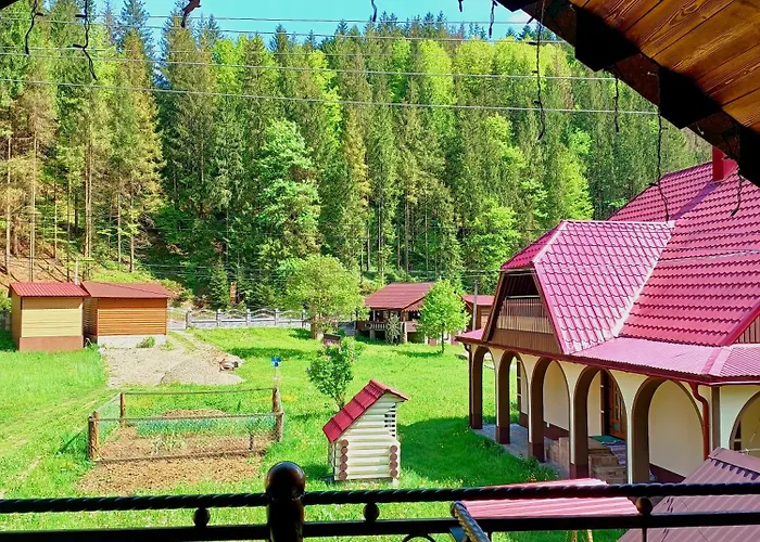 Tatil Evi Rusnak Family Synevyrsʼka Polyana